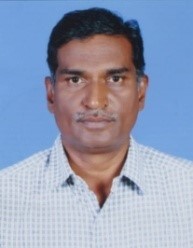 Faculty Image